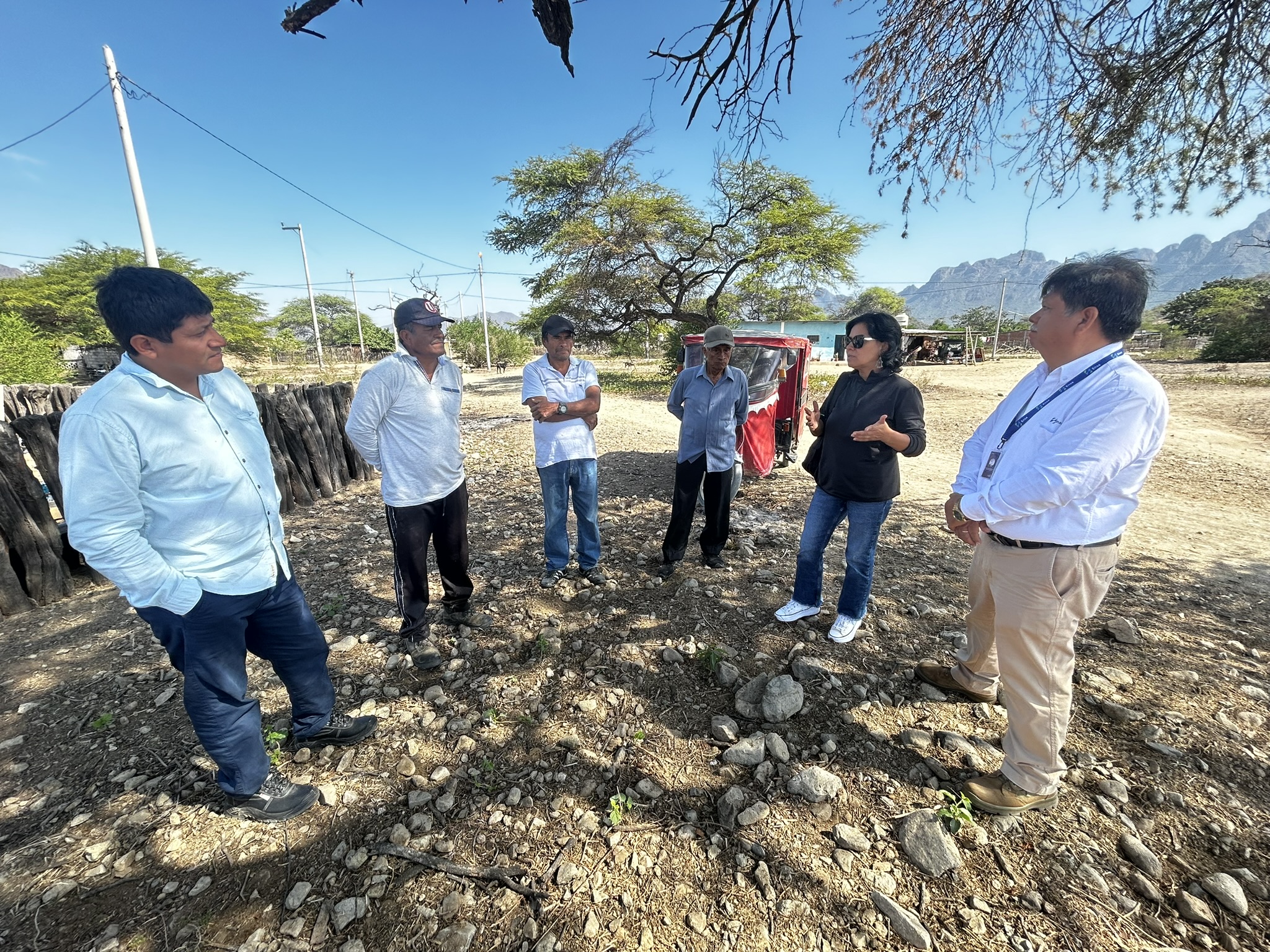 Ayuda Comunitaria